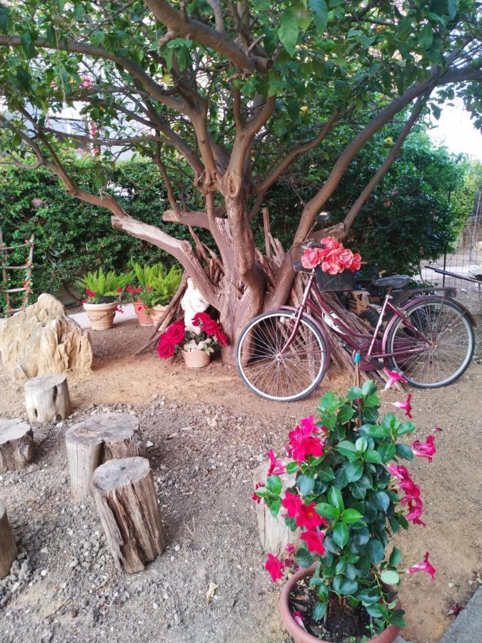 Vila Regina Di Girgenti Agrigento Exteriér fotografie